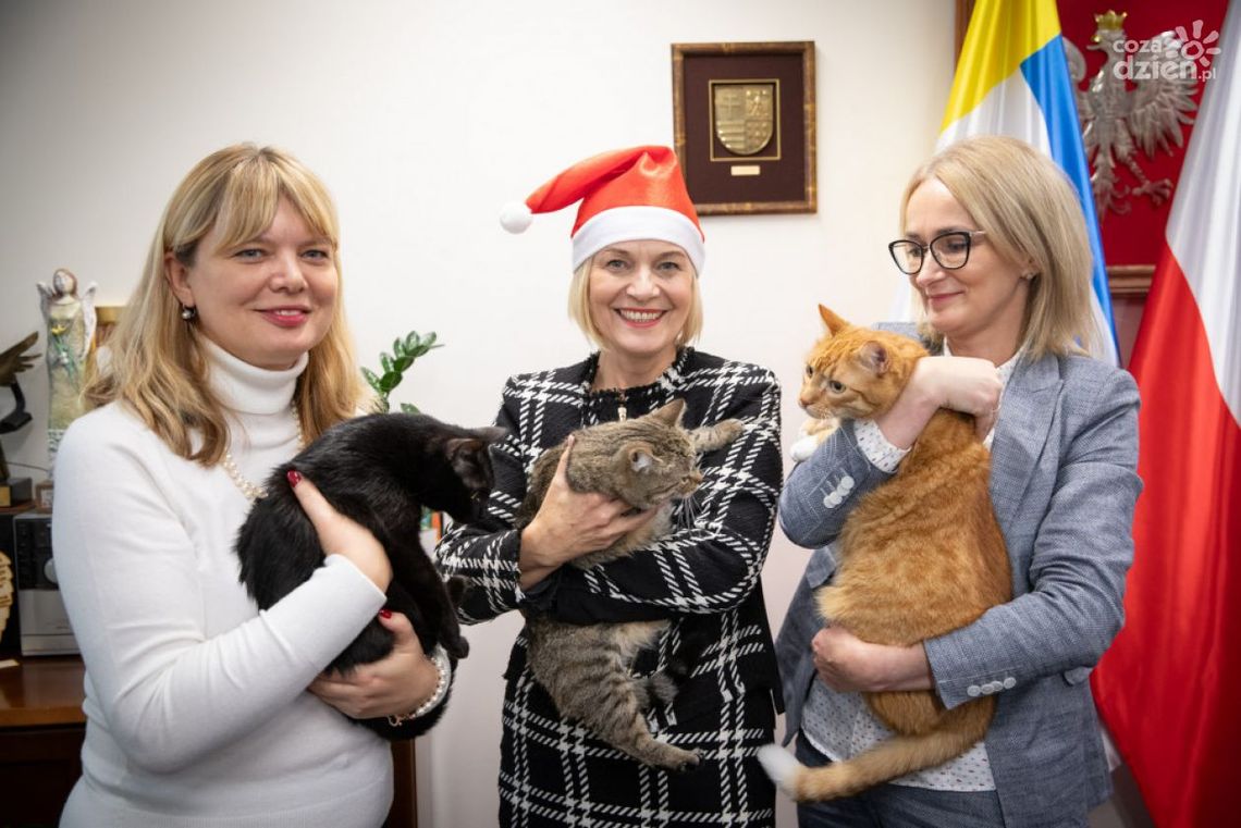 "Mikołajkowa akcja - paczka dla zwierzaczka" "Mikołajkowa akcja - paczka dla zwierzaczka"