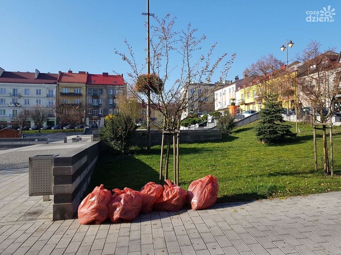 MILENA GAWĄD - kwiaty zeszły z wybiegu