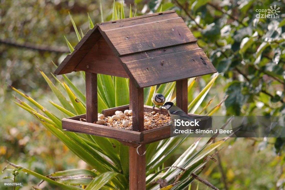 Mini-granty dla ostrowieckich grup nieformalnych Mini-granty dla ostrowieckich grup nieformalnych