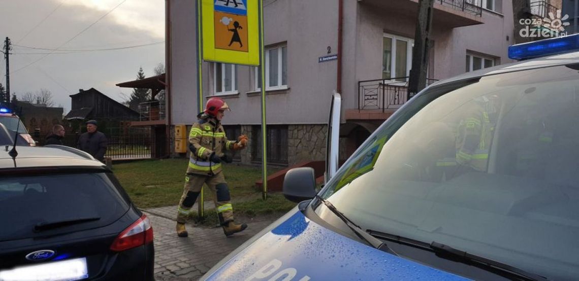 Miś "Ratownik" interweniował przy wypadku