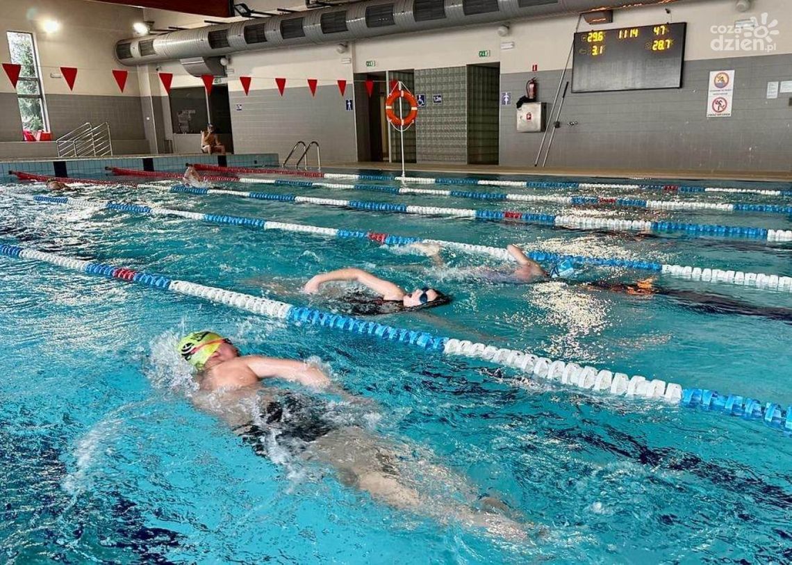 Mistrzostwa Szkół Podstawowych w pływaniu 