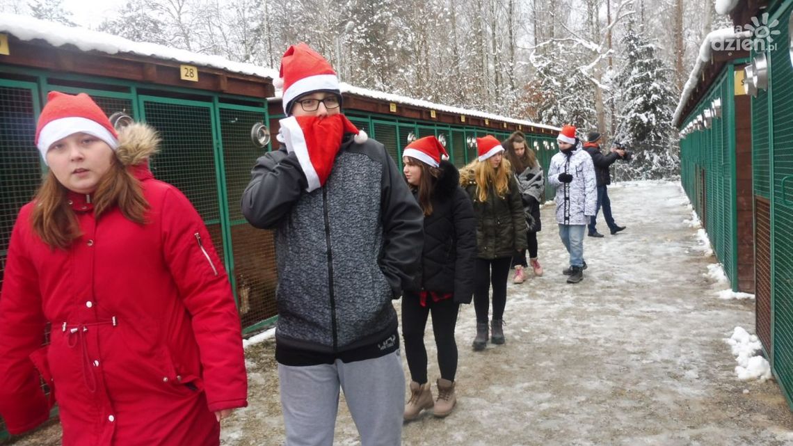 Młodzi ostrowczanie chcą łatwiejszego dostępu
do schroniska dla bezdomnych zwierząt Młodzi ostrowczanie chcą łatwiejszego dostępu
do schroniska dla bezdomnych zwierząt