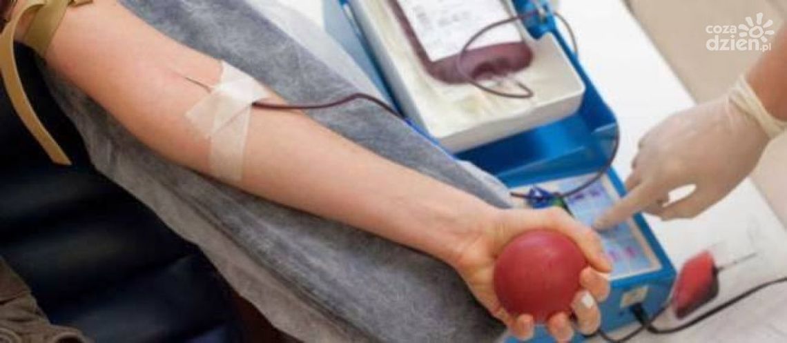 Młodzi ostrowczanie chętnie dzielą się krwią Młodzi ostrowczanie chętnie dzielą się krwią