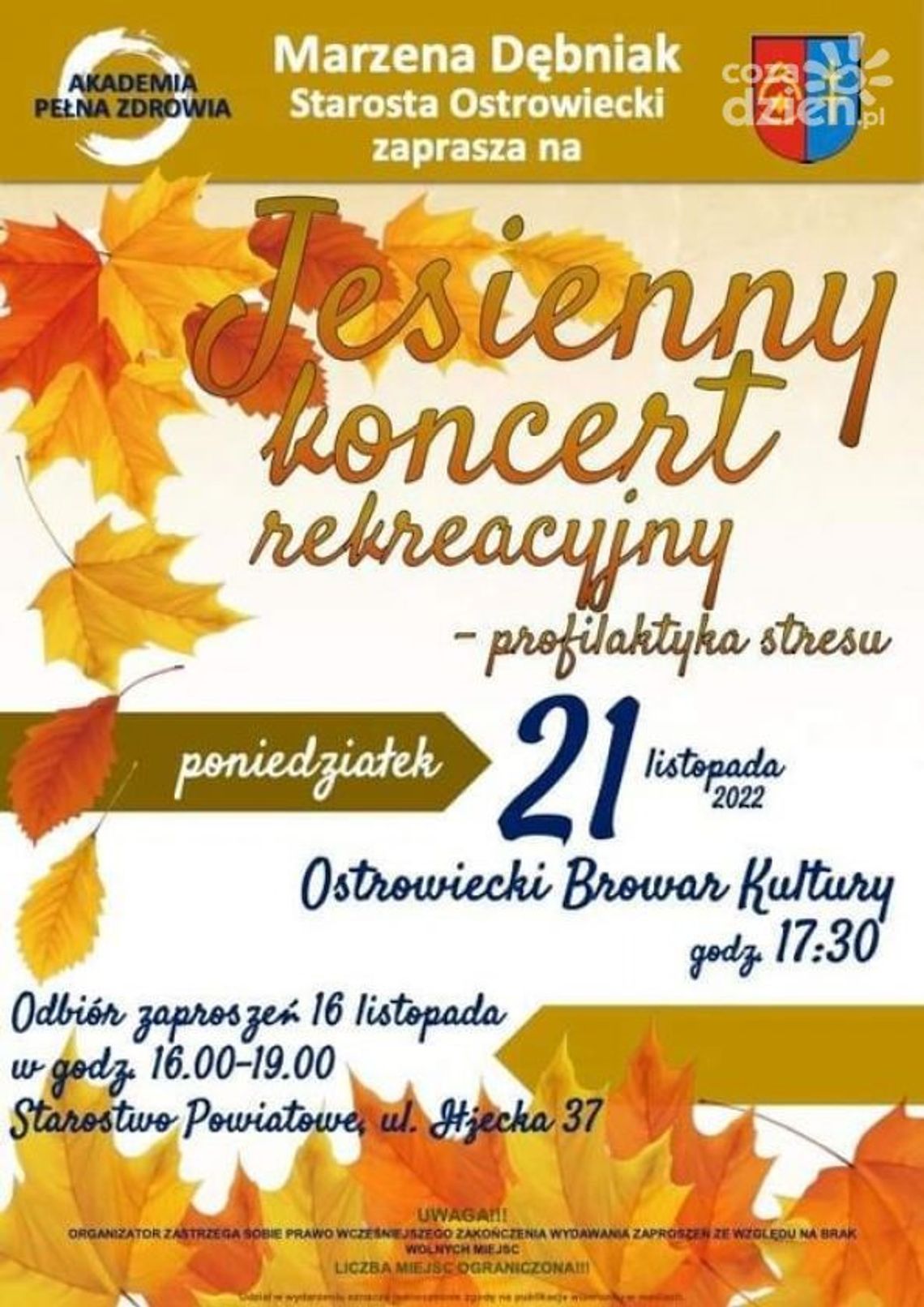 Muzyka kojąca nastrój Muzyka kojąca nastrój