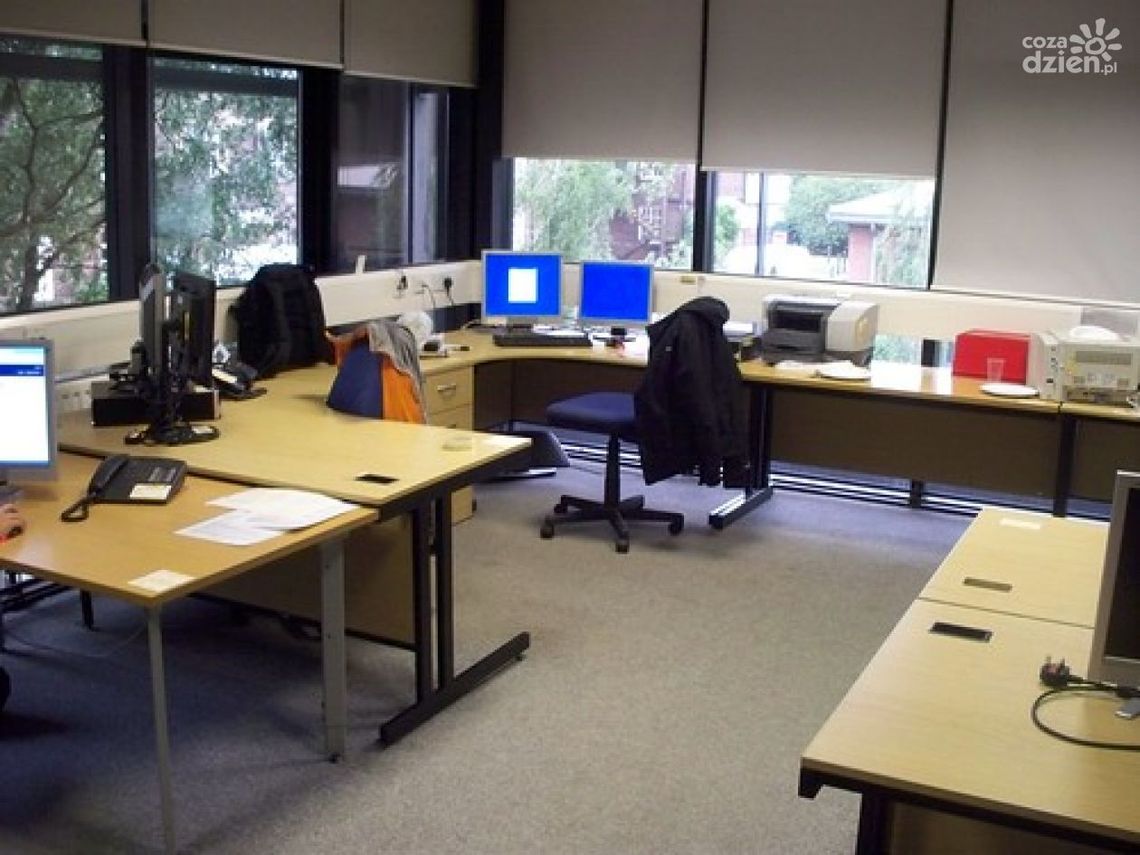 Na jakie zarobki możesz liczyć w Ostrowcu w tych branżach?