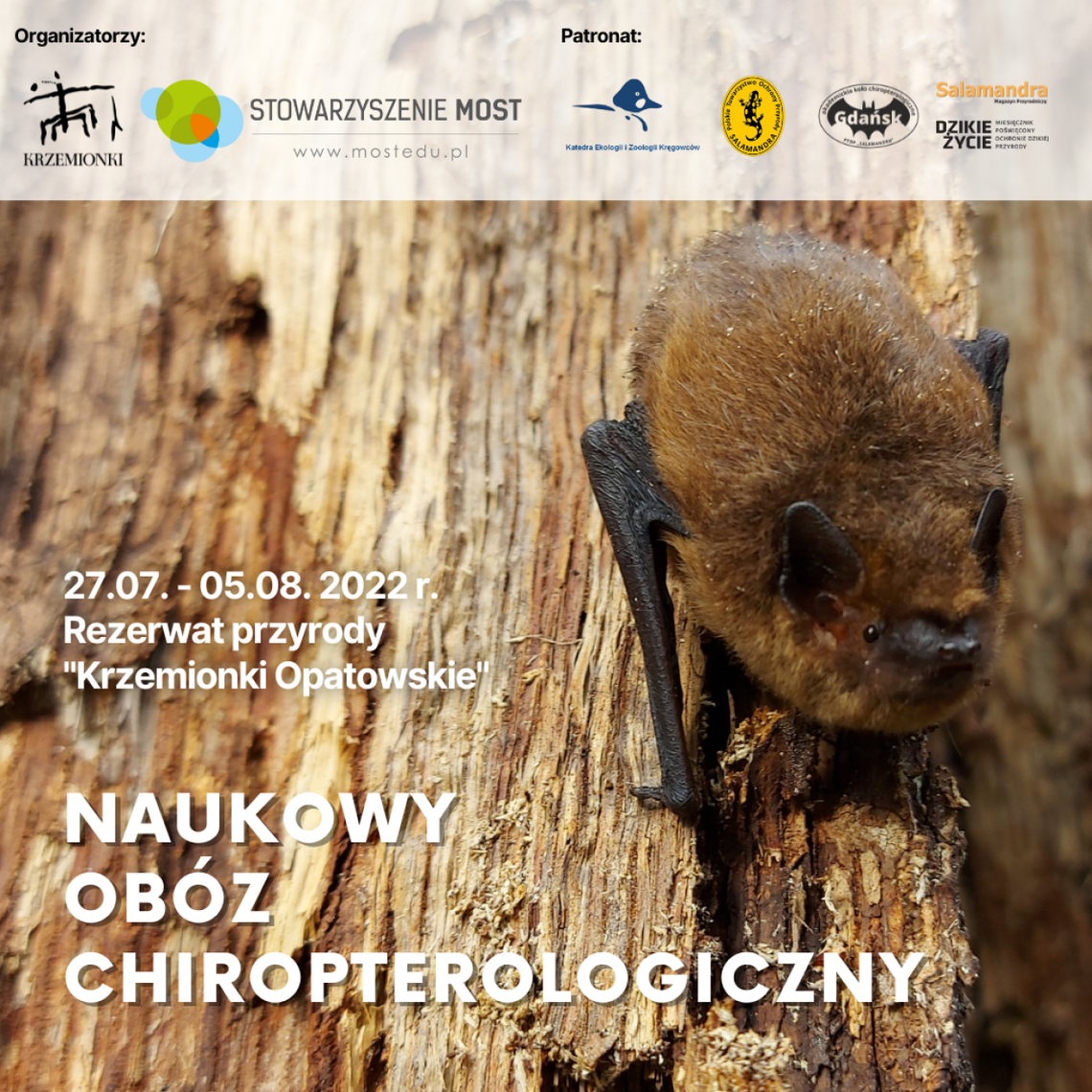 Na Krzemionkach liczą nietoperze Na Krzemionkach liczą nietoperze