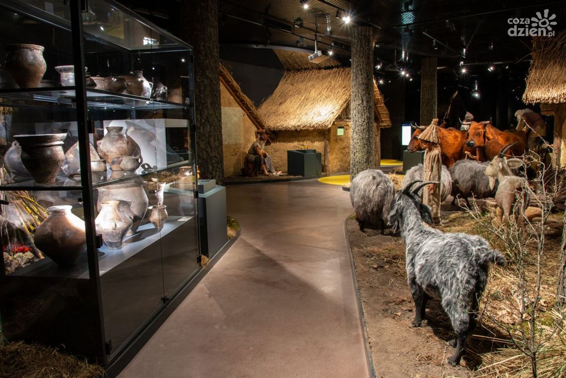 Na Krzemionkach zainaugurowano Europejskie Dni Archeologii 