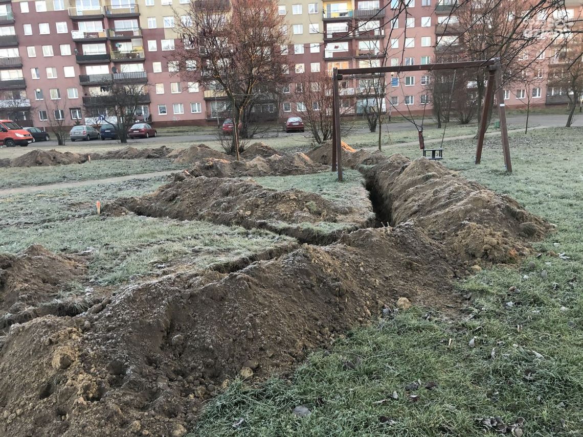 Na "Ogrody Zdrowia" jeszcze poczekamy Na "Ogrody Zdrowia" jeszcze poczekamy