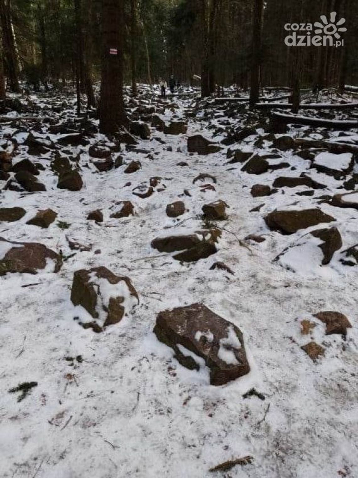 Na otwarcie popularnej ścieżki na Święty Krzyż przyjdzie jeszcze poczekać