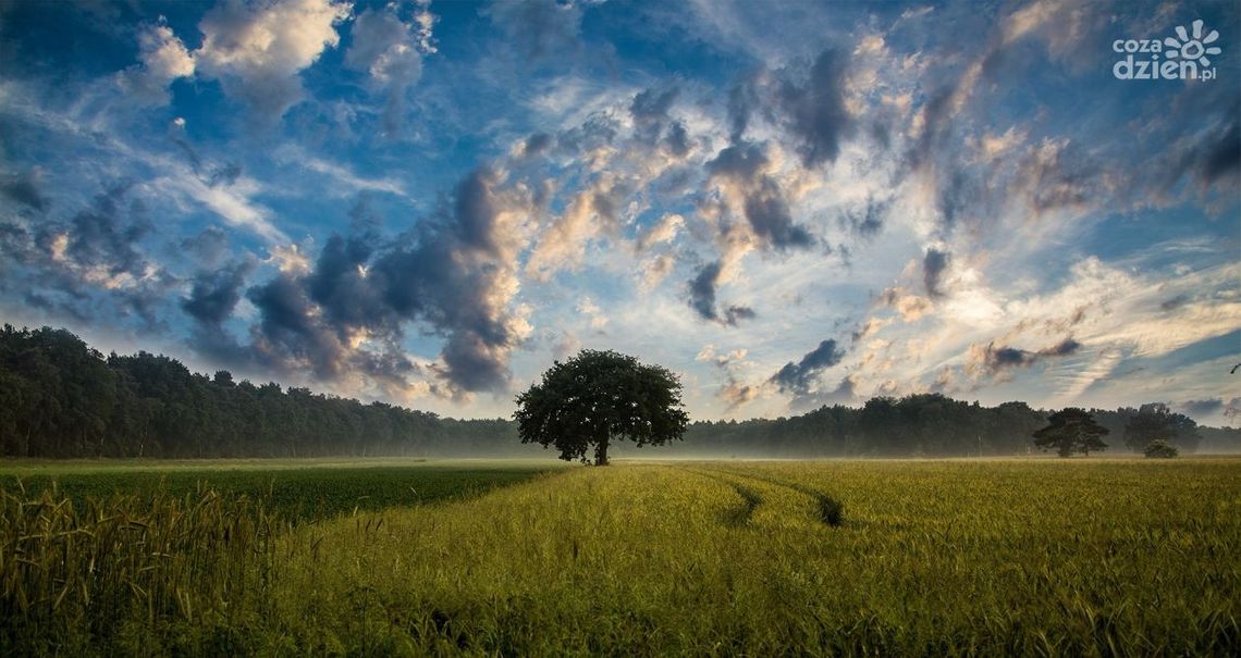 Nadchodzące przemiany. Co dzieje się w rolnictwie pod koniec marca Nadchodzące przemiany. Co dzieje się w rolnictwie pod koniec marca