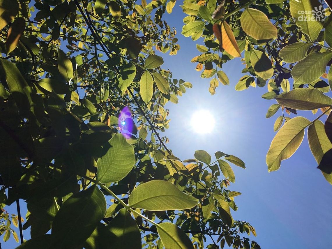 Nadciąga fala upałów - w szkołach będą skrócone lekcje Nadciąga fala upałów - w szkołach będą skrócone lekcje