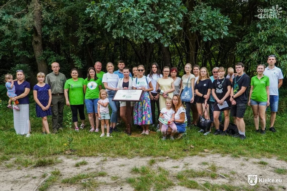 Najpierw posprzątali a potem posadzili las Najpierw posprzątali a potem posadzili las