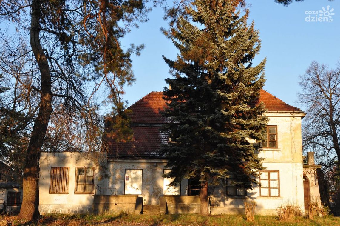 Najpierw rewitalizacja Parku Miejskiego później Pałacyku 