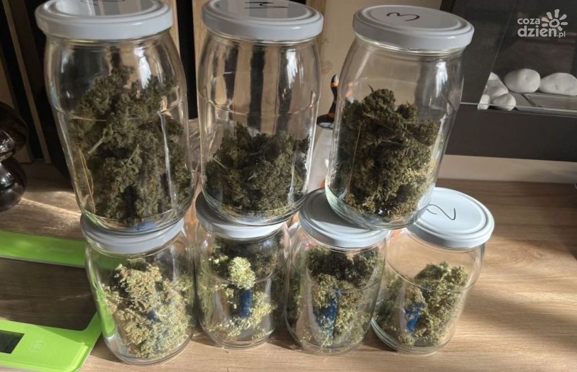 Narkotyki w mieszkaniu 29-latka. Grozi mu do 10 lat więzienia Narkotyki w mieszkaniu 29-latka. Grozi mu do 10 lat więzienia