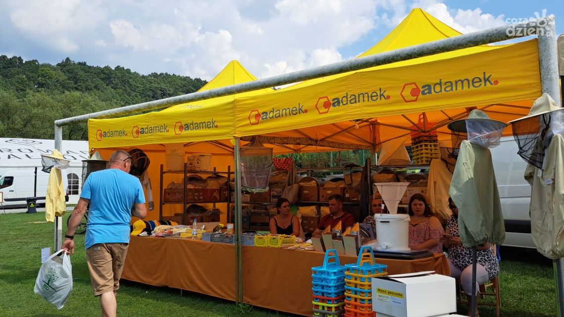 Naukowa strona Świętokrzyskiego Święta Pszczoły Naukowa strona Świętokrzyskiego Święta Pszczoły