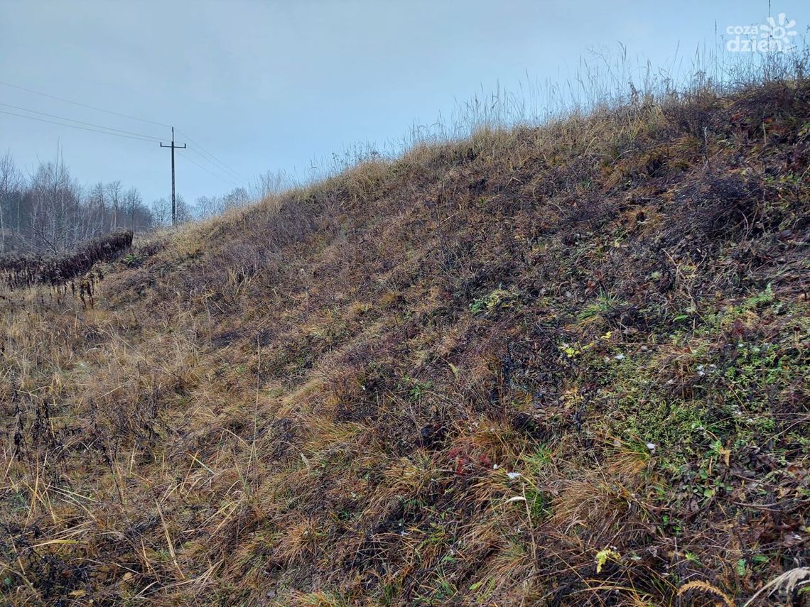 Naukowcy z ostrowieckiego muzeum zbadają wzgórze Gawroniec Naukowcy z ostrowieckiego muzeum zbadają wzgórze Gawroniec