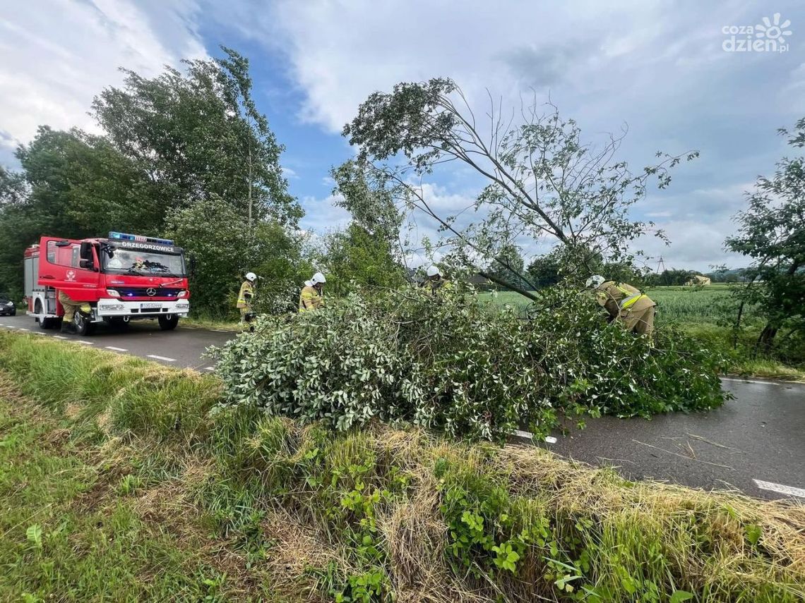 Nawałnica nad Ostrowcem Nawałnica nad Ostrowcem