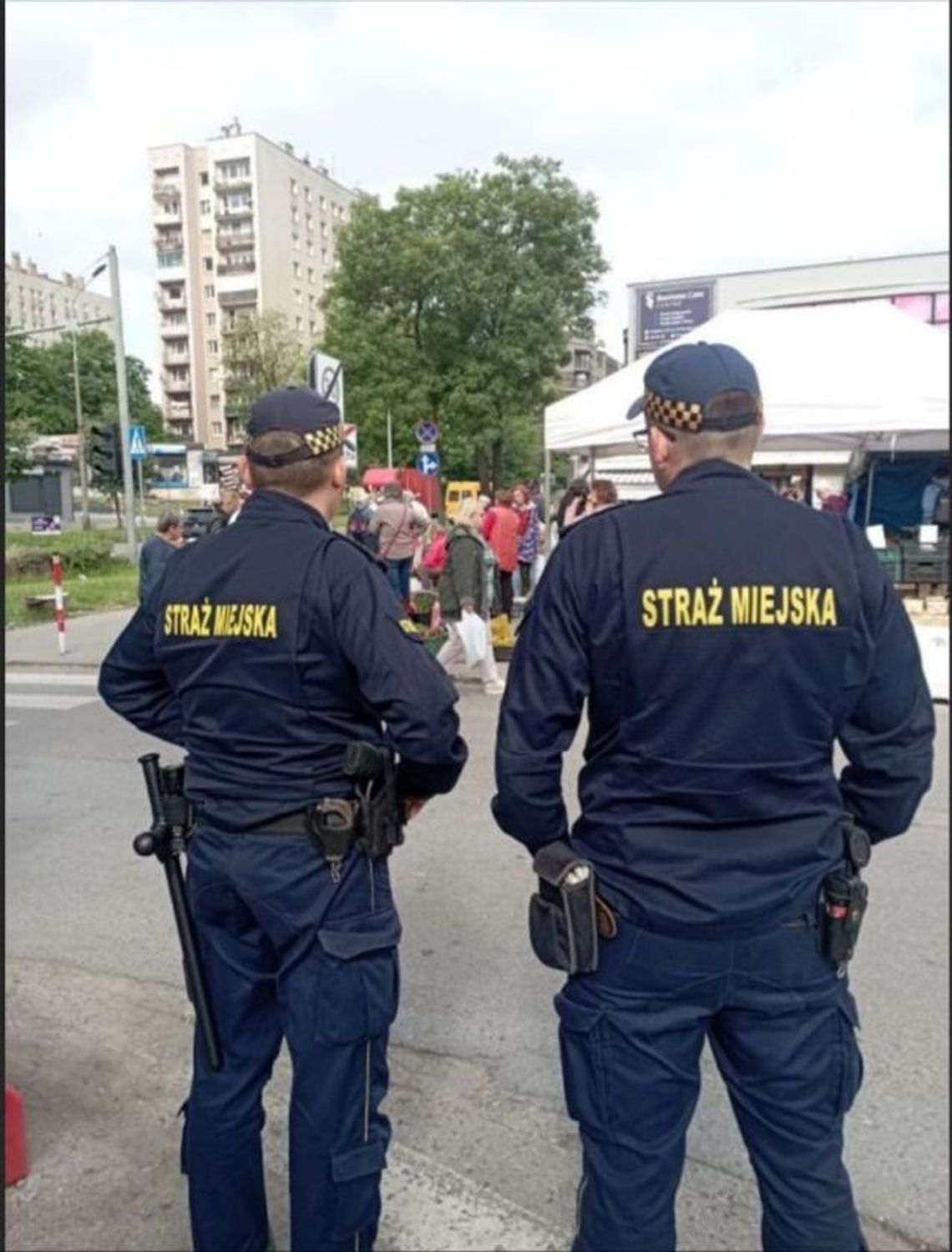 Nawet 1500 zł za jazdę bez uprawnień - Straż Miejska z nowymi uprawnieniami Nawet 1500 zł za jazdę bez uprawnień - Straż Miejska z nowymi uprawnieniami