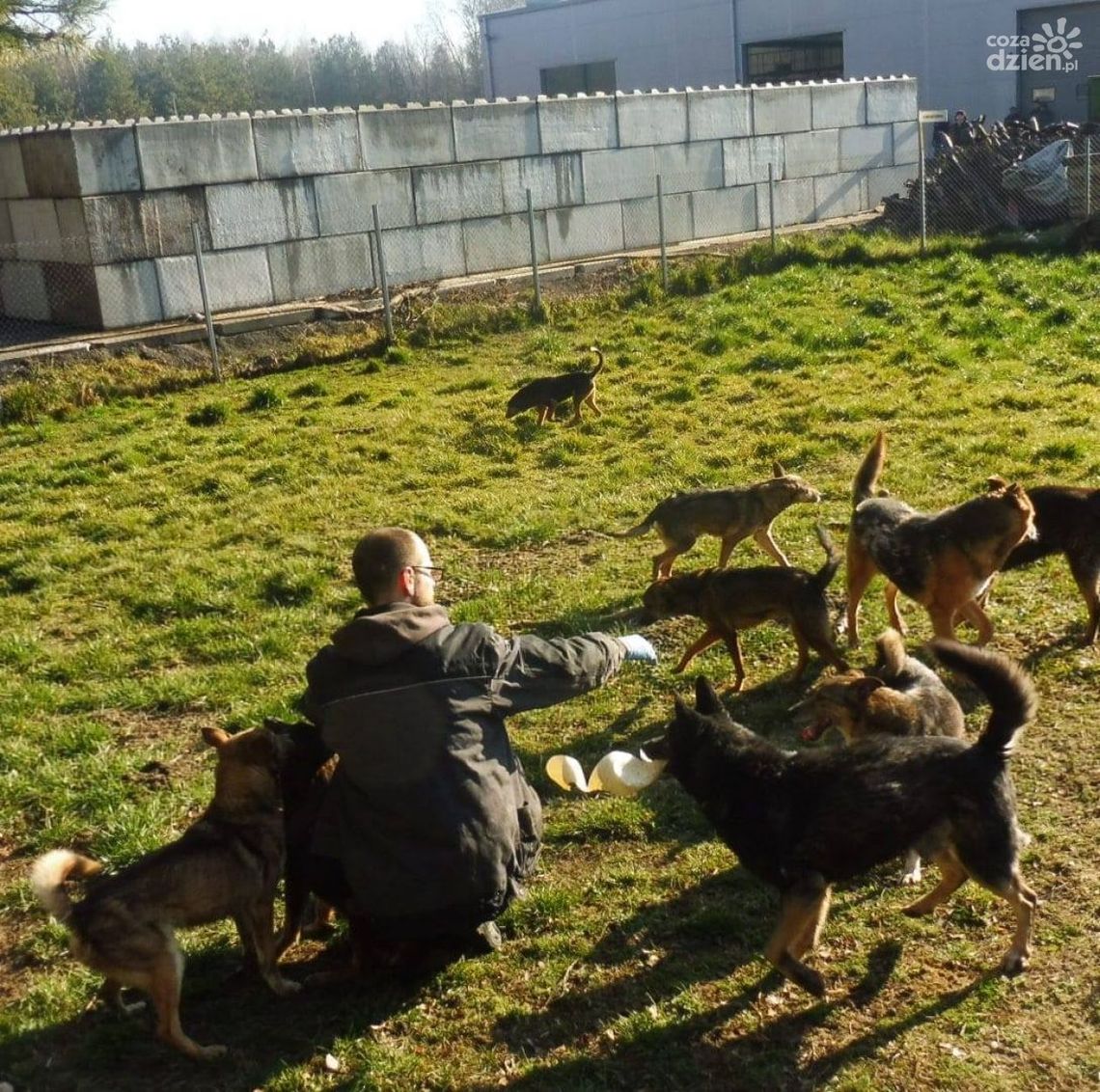 Nie kupuj, adoptuj! Dziś Światowy Dzień Zwierząt Bezdomnych Nie kupuj, adoptuj! Dziś Światowy Dzień Zwierząt Bezdomnych