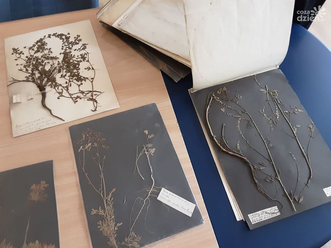 Niecodzienne znalezisko w ostrowieckiej szkole sportowej Niecodzienne znalezisko w ostrowieckiej szkole sportowej