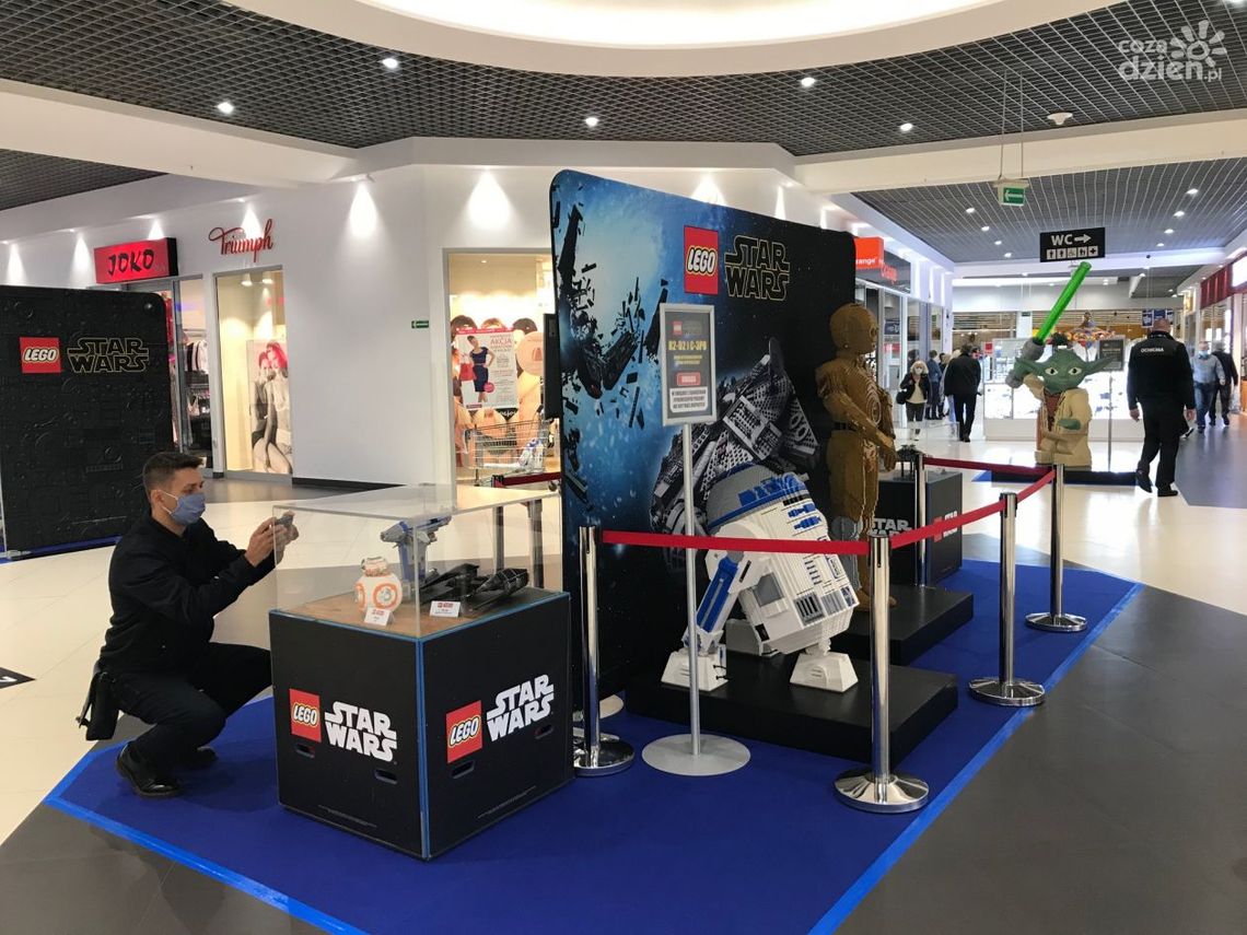 Niepowtarzalna wystawa w Galerii Ostrowiec Niepowtarzalna wystawa w Galerii Ostrowiec