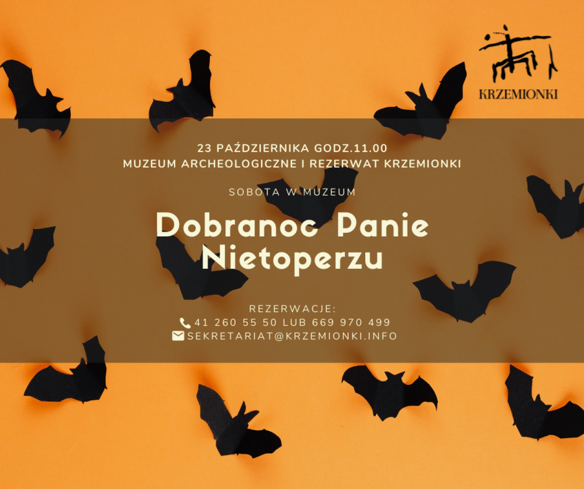 Nietoperz bohaterem zajęć na Krzemionkach 