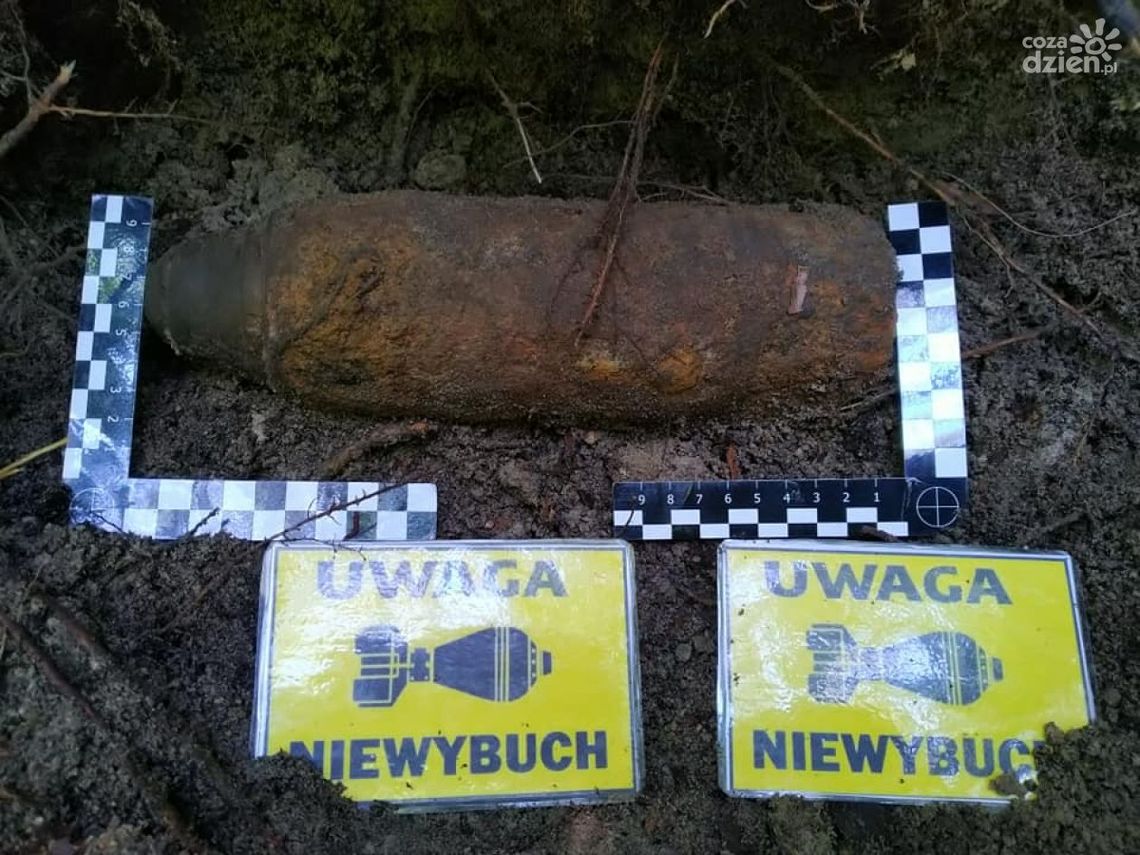 Niewybuchy na terenie Leśnictwa Krynki