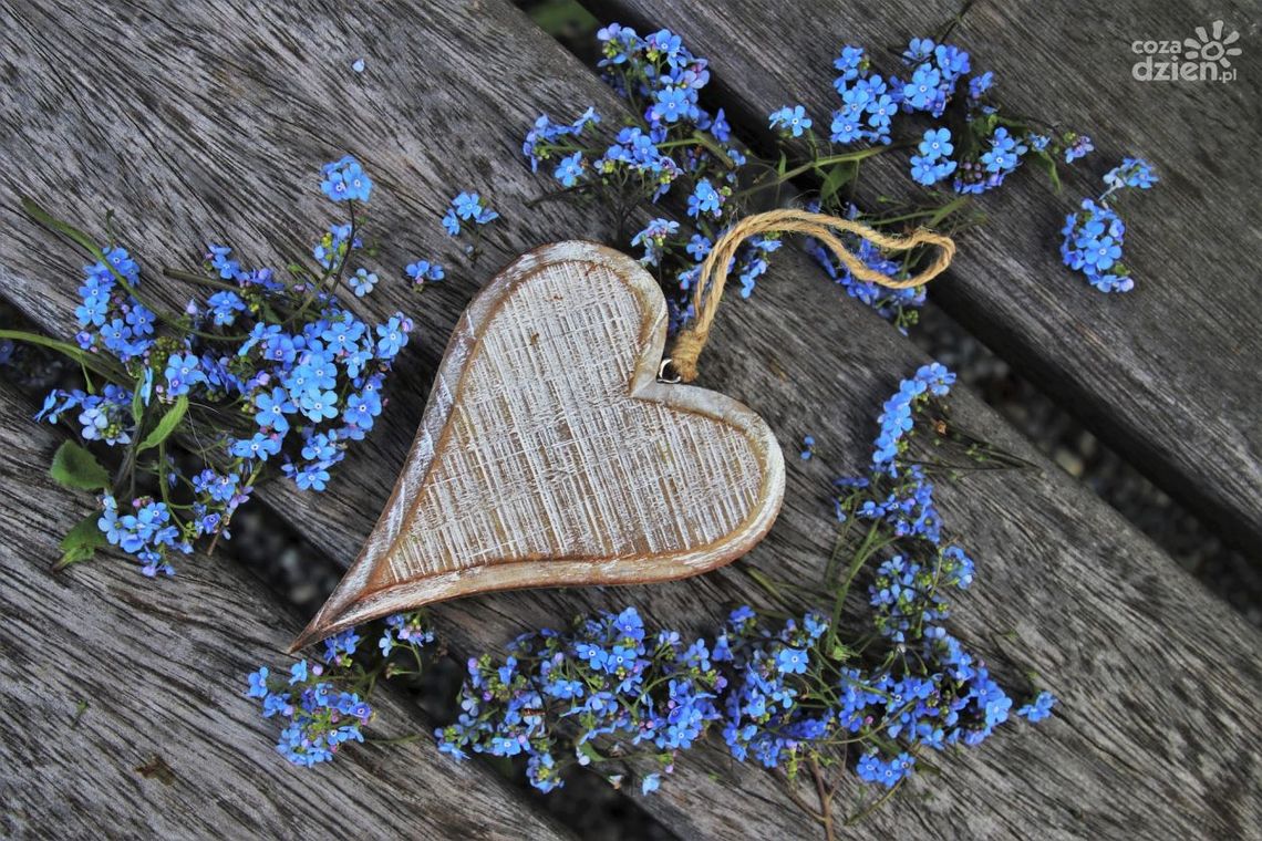 Niezapomniany Dzień Dziecka nad Zalewem Andrzejówka Niezapomniany Dzień Dziecka nad Zalewem Andrzejówka