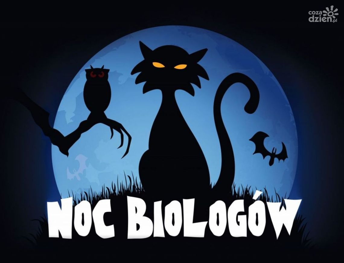 Noc Biologów 2024 na UJK Noc Biologów 2024 na UJK