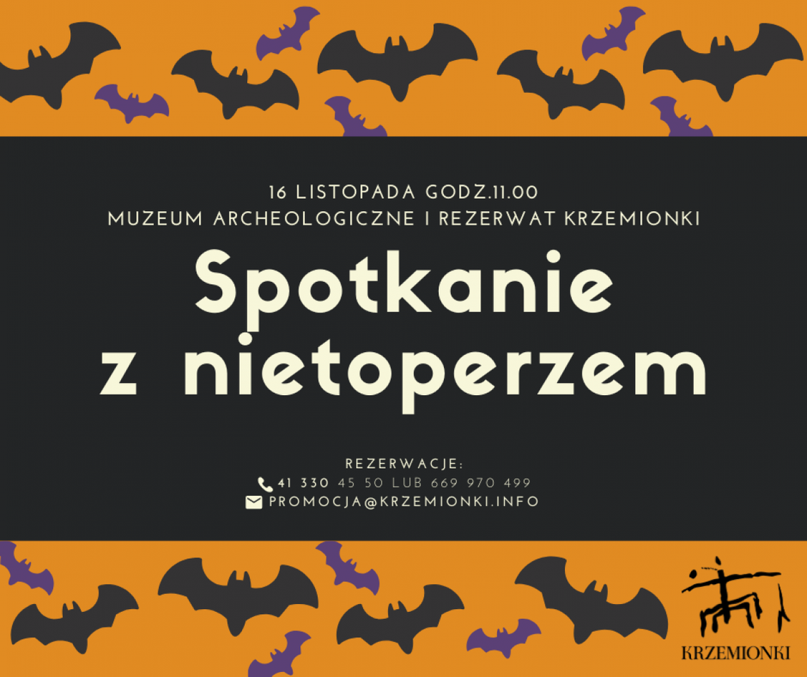 Nocny łowca - poznaj nietoperza Nocny łowca - poznaj nietoperza