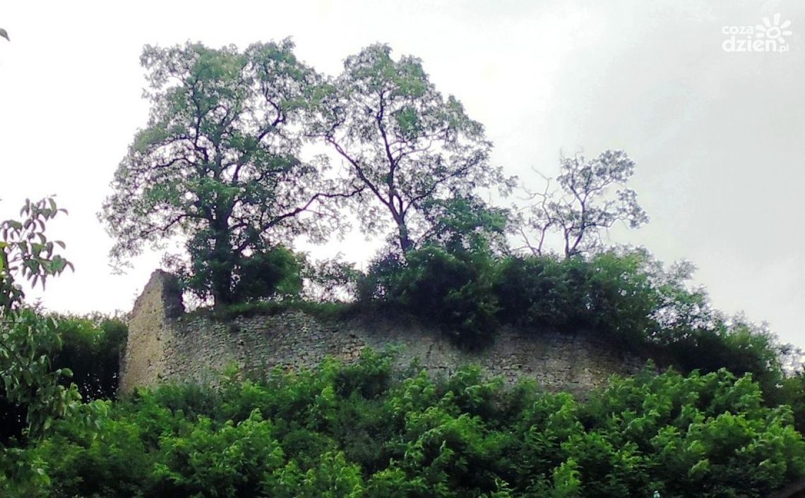 Nowa turystyczna atrakcja w Ćmielowie Nowa turystyczna atrakcja w Ćmielowie