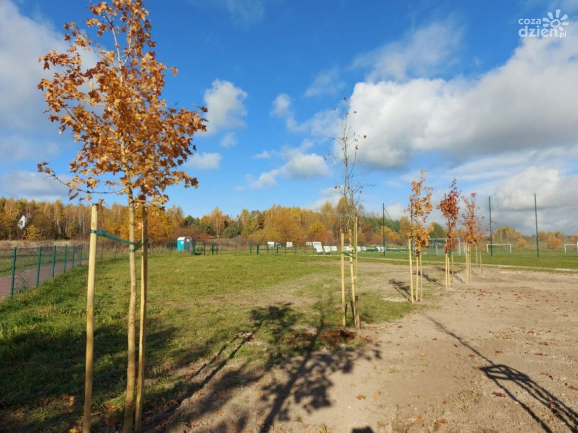 Nowe nasadzenia drzew i krzewów miododajnych w Ćmińsku Nowe nasadzenia drzew i krzewów miododajnych w Ćmińsku
