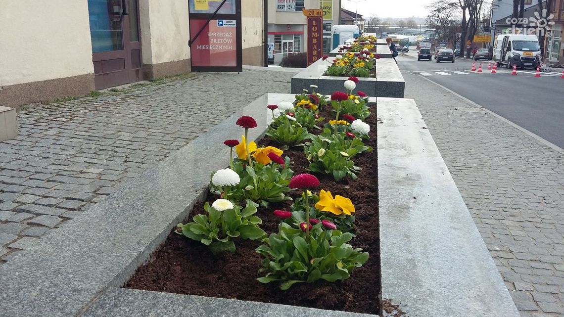 Nowe oblicze ostrowieckiego Rynku