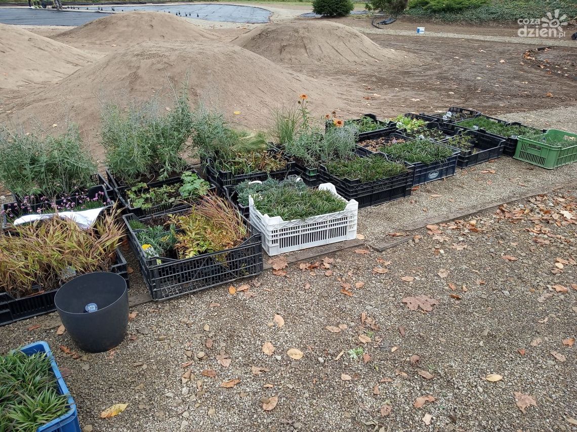 Nowe oblicze Parku w Niemienicach Nowe oblicze Parku w Niemienicach