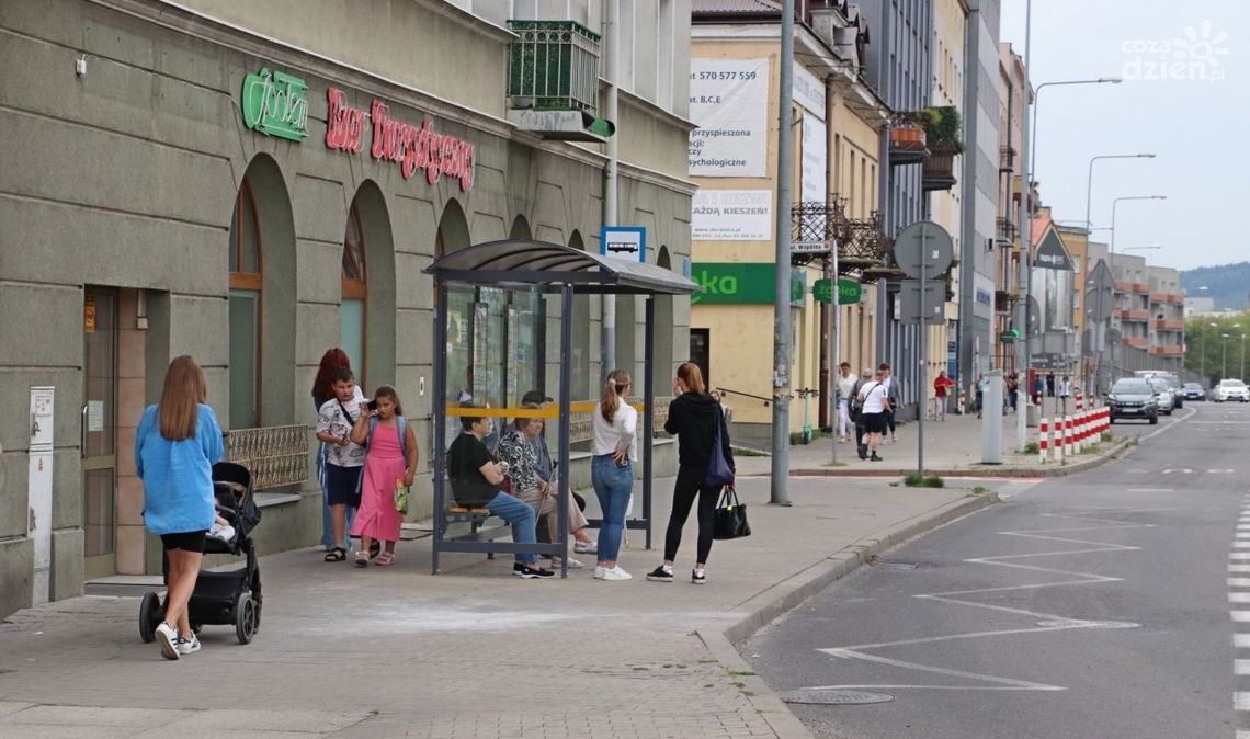 Nowe wiaty na wybranych przystankach. Lokalizacje wskazali mieszkańcy Nowe wiaty na wybranych przystankach. Lokalizacje wskazali mieszkańcy