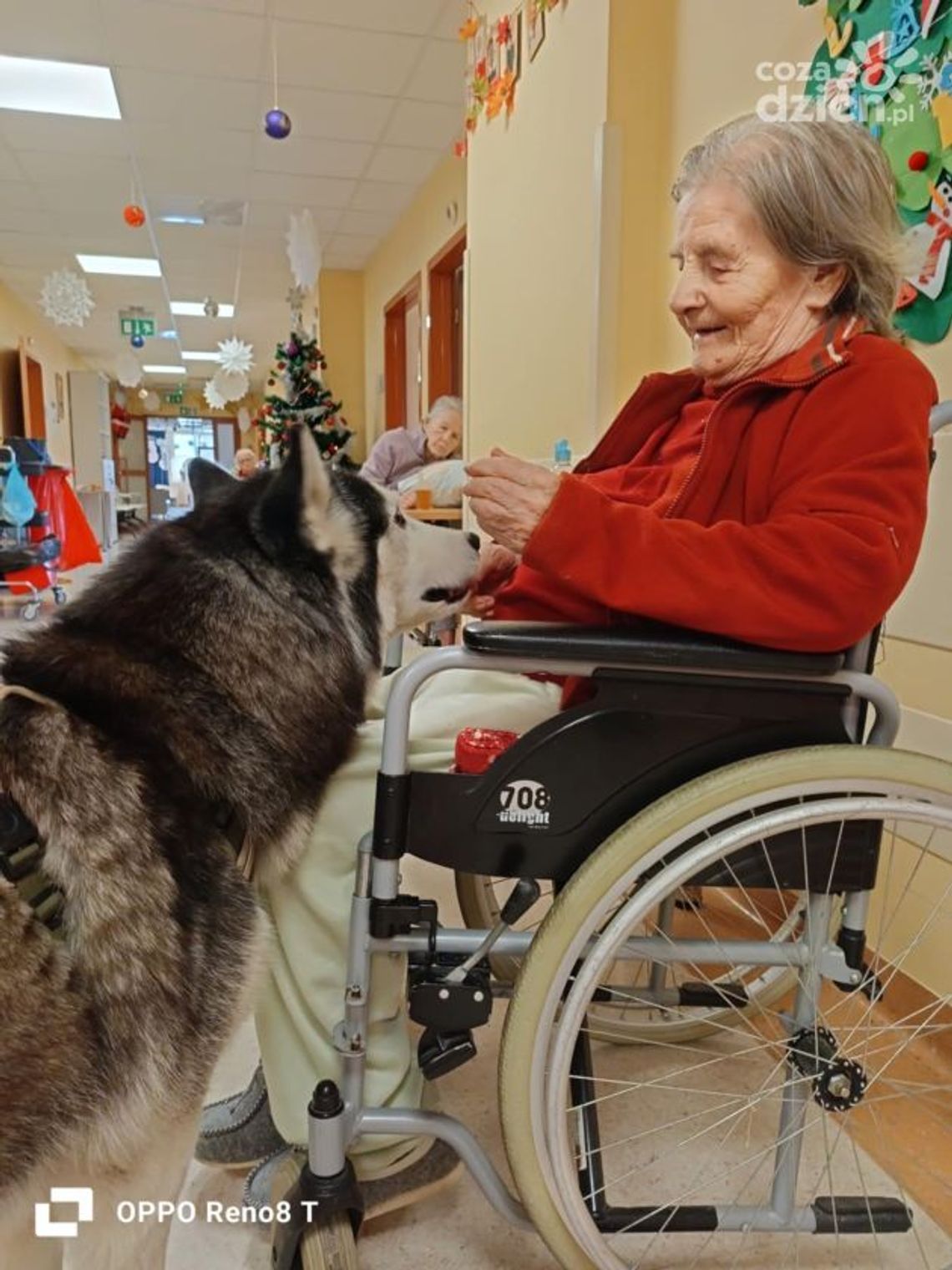 Nowość w starachowickim ZOL-u: Dogoterapia – leczenie z pomocą czworonożnego terapeuty Nowość w starachowickim ZOL-u: Dogoterapia – leczenie z pomocą czworonożnego terapeuty