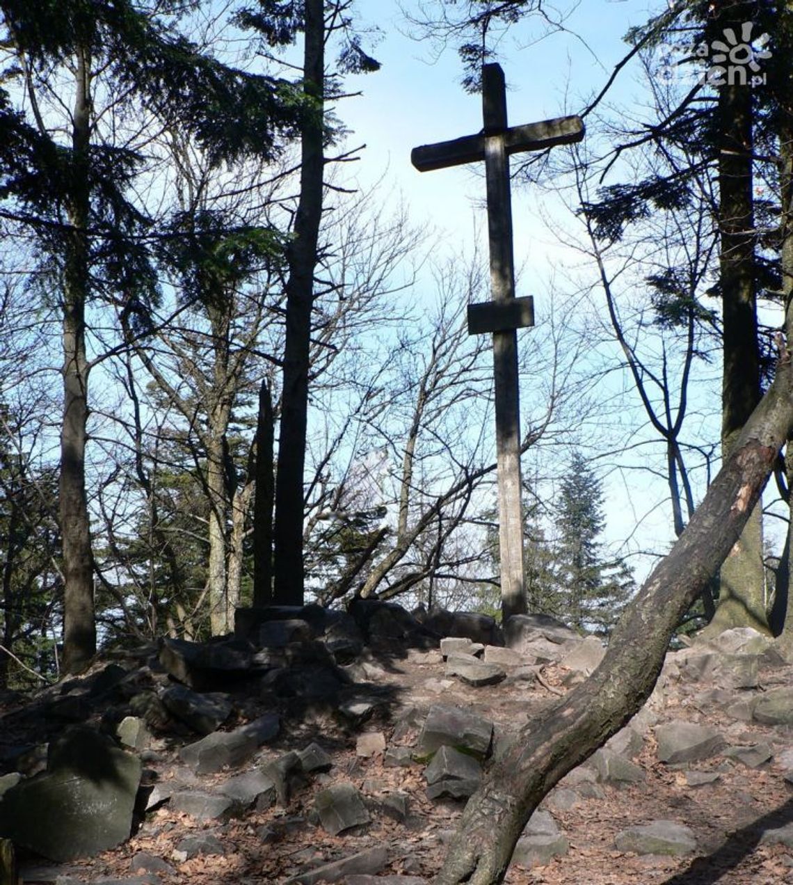 Nowy, najwyższy szczyt Gór Świętokrzyskich Nowy, najwyższy szczyt Gór Świętokrzyskich