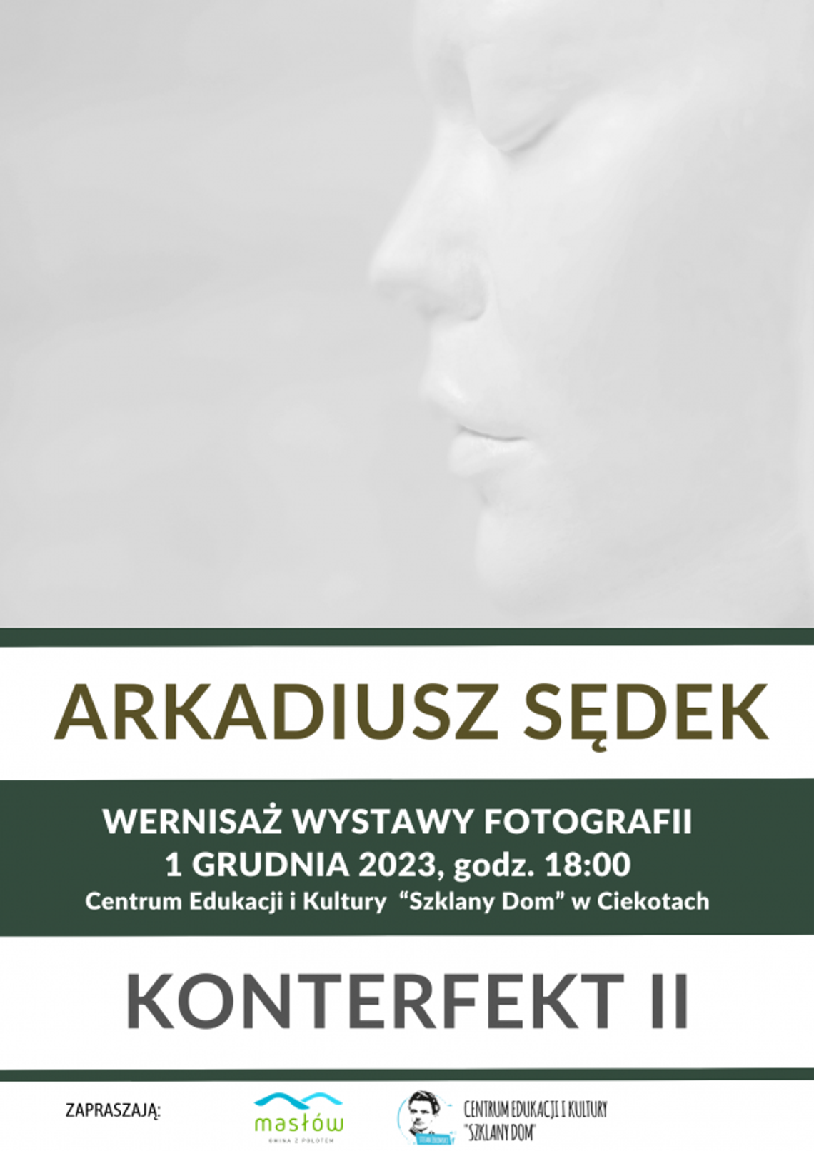 Obrazy fotograficzne nawiązujące do fotografii pikturalnej