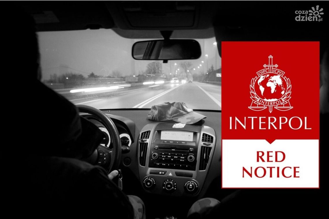 Obywatel Ukrainy zatrzymany w Ostrowcu za handel narkotykami w swoim kraju Obywatel Ukrainy zatrzymany w Ostrowcu za handel narkotykami w swoim kraju