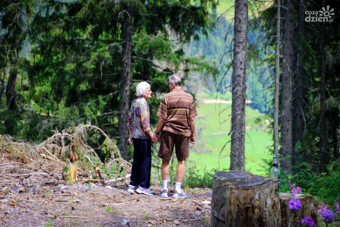 Odnaleźli 83-latkę. Seniorka zgubiła się w lesie podczas grzybobrania Odnaleźli 83-latkę. Seniorka zgubiła się w lesie podczas grzybobrania