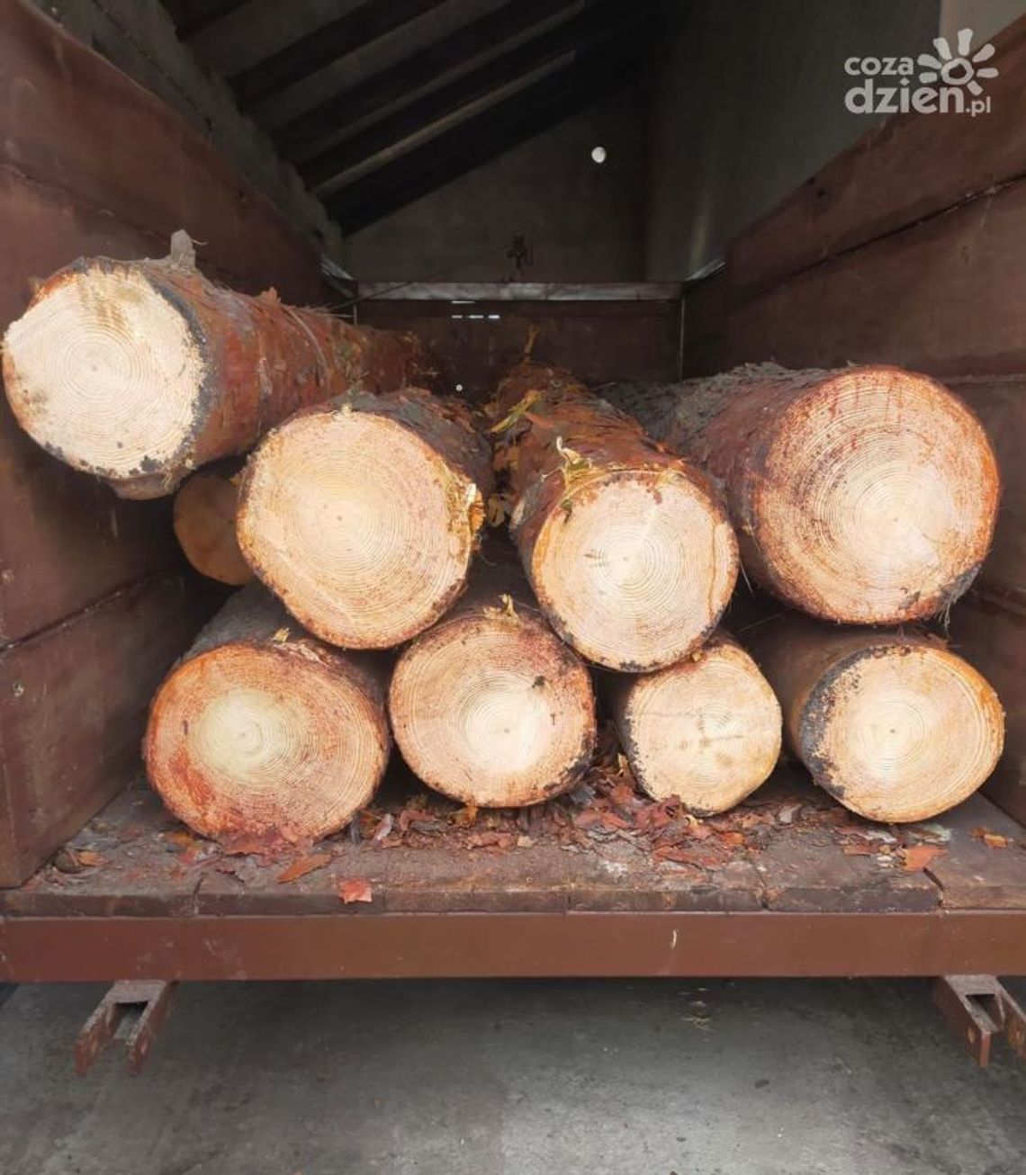 Odzyskali i zabezpieczyli kradzione drewno Odzyskali i zabezpieczyli kradzione drewno