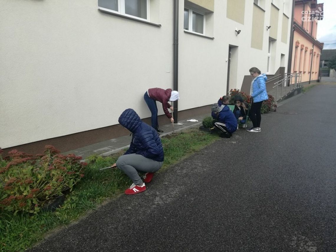 Ogród edukacyjny w Osinach Ogród edukacyjny w Osinach