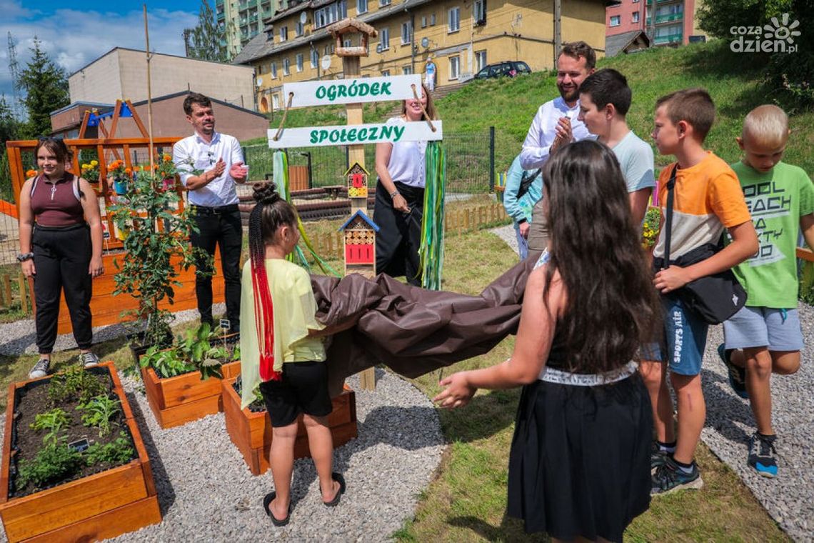 Ogródek Społeczny wzbogacił starachowickie osiedle Ogródek Społeczny wzbogacił starachowickie osiedle