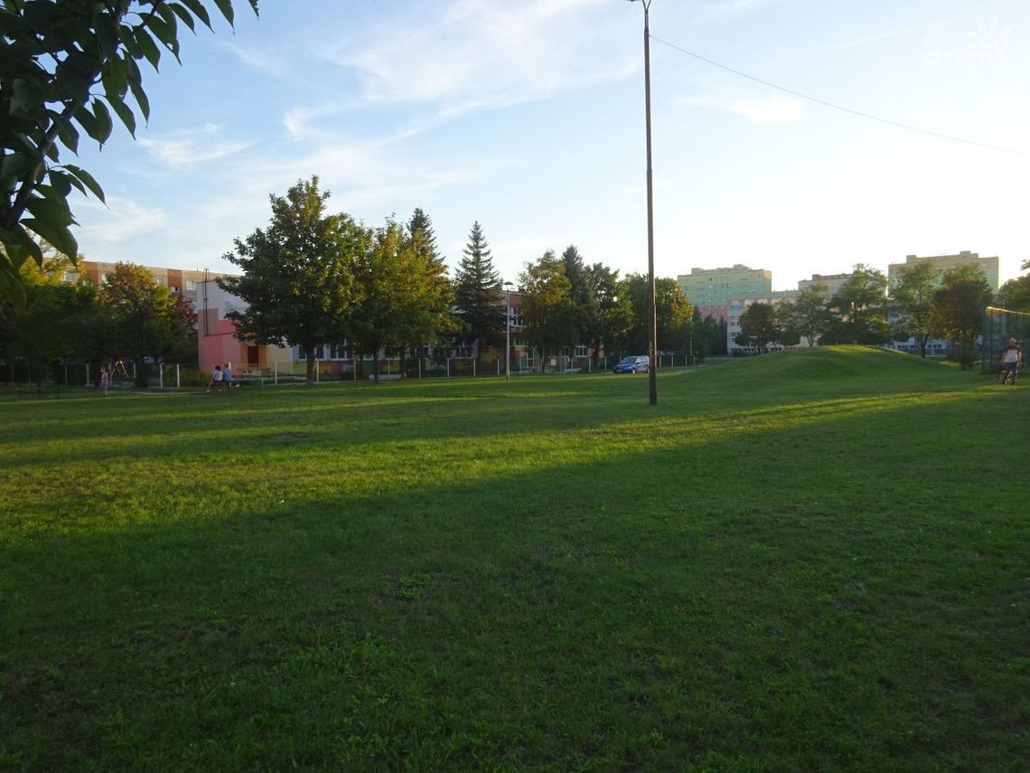 "Ogrody zdrowia" na Ogrodach - będzie można poćwiczyć i zrelaksować się