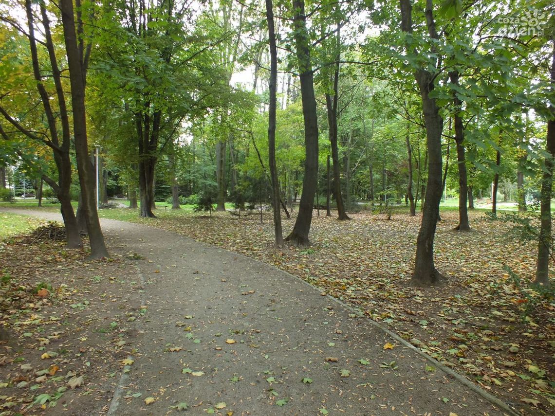 Oj, chyba widzieliśmy jesień w Ostrowcu...