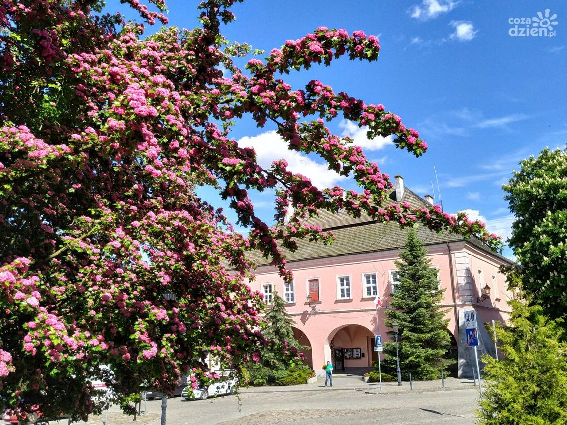 Opatów jest w OSI -Dolina Wisły Opatów jest w OSI -Dolina Wisły