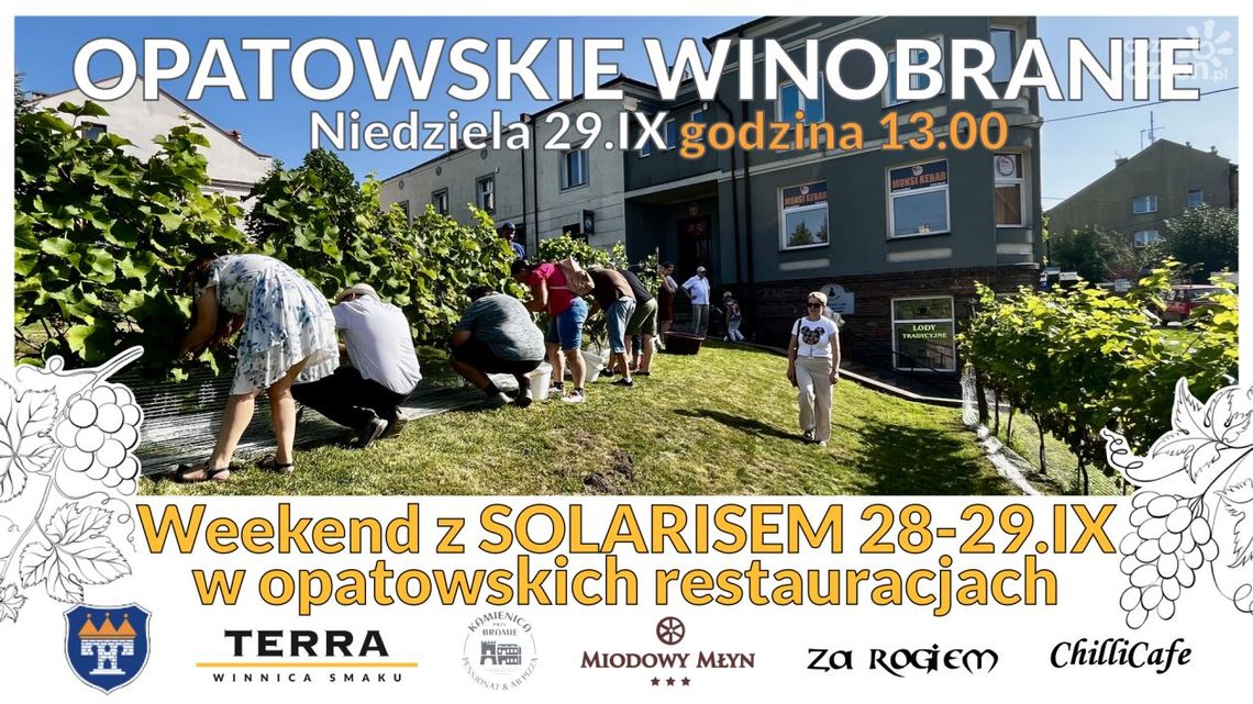 Opatowskie winobranie Opatowskie winobranie