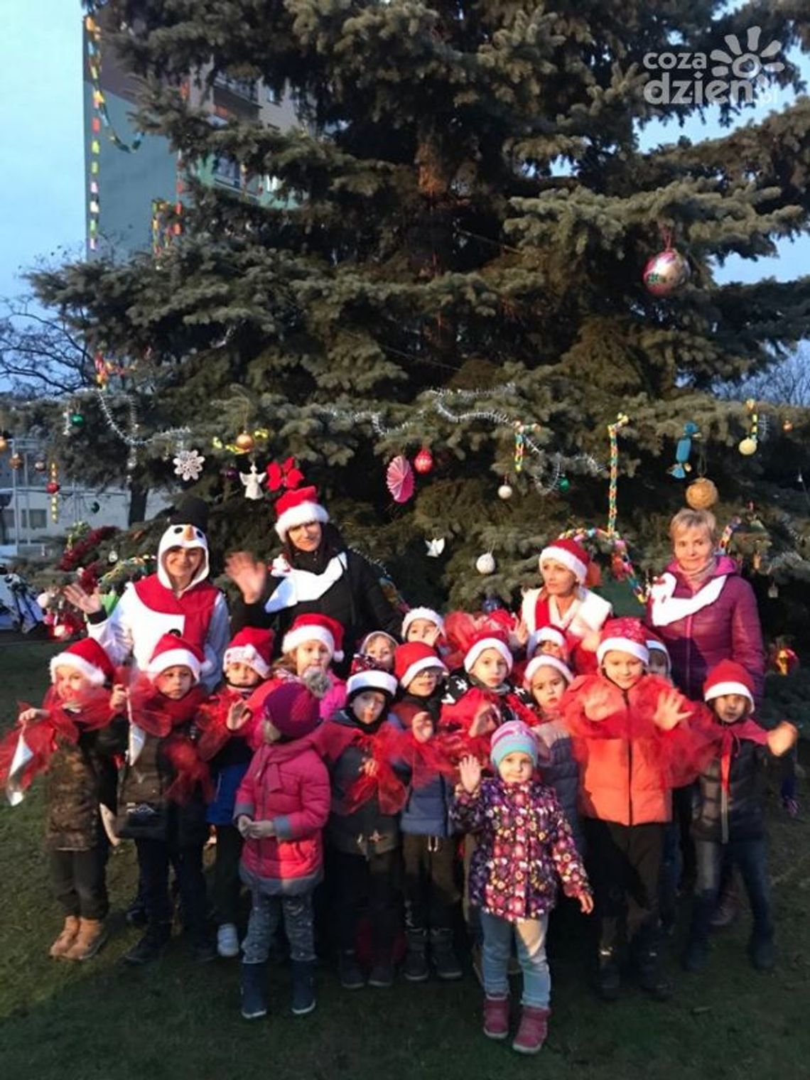Osiedlowa choinka zintegruje mieszkańców