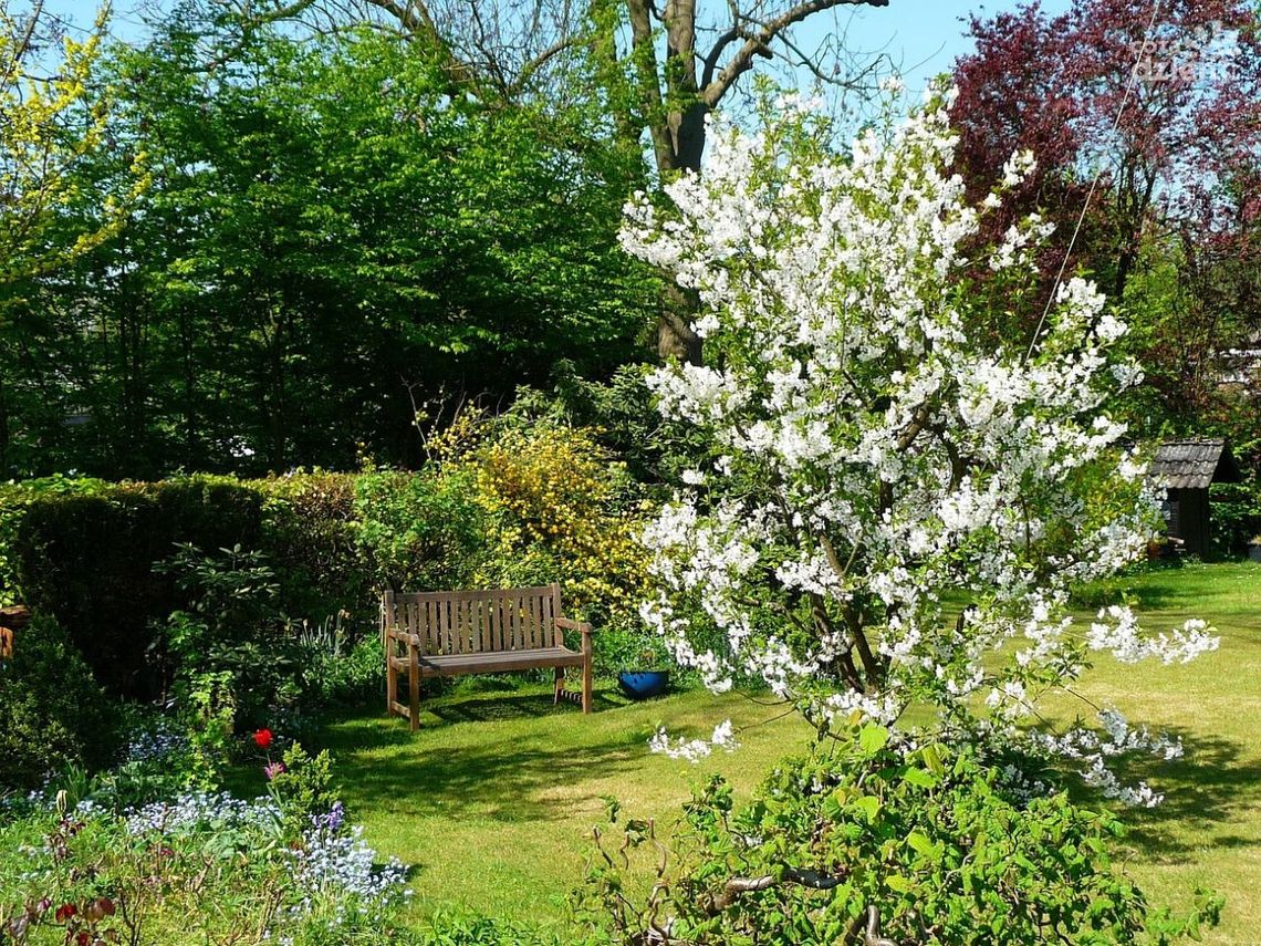 Ostatnie chwile na zgłoszenie do konkursu „Najładniejsza posesja” w gminie Morawica Ostatnie chwile na zgłoszenie do konkursu „Najładniejsza posesja” w gminie Morawica