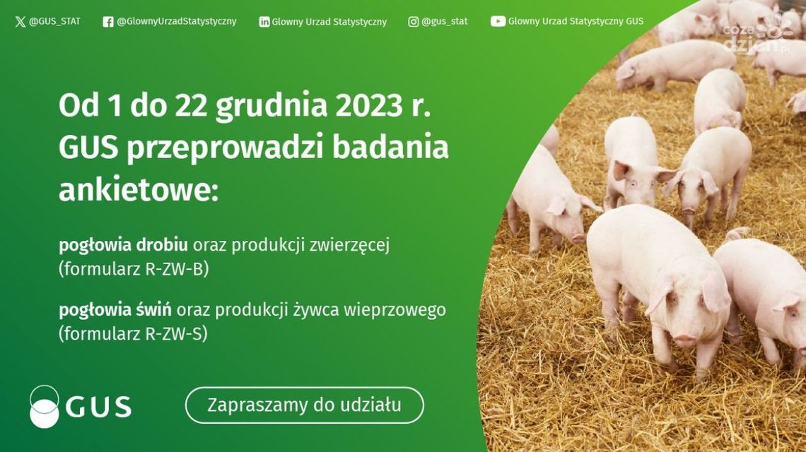 Ostatnie tygodnie badań statystycznych z zakresu rolnictwa Ostatnie tygodnie badań statystycznych z zakresu rolnictwa